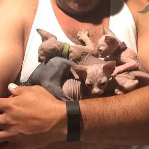 Meet your Posher, Alex